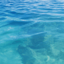 <h4>Your <em>Sustainable choice</em> makes a difference</h4>